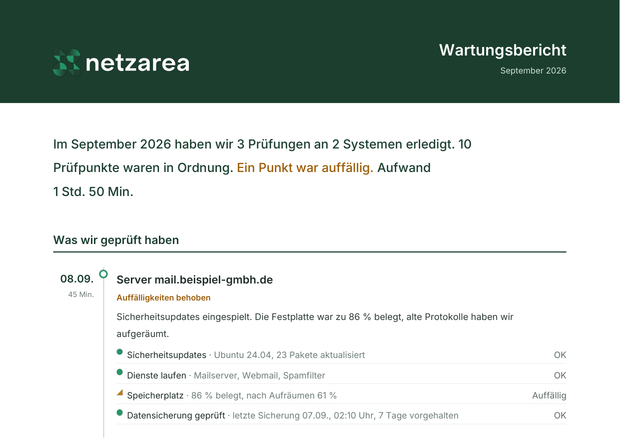 Ausschnitt aus einem Wartungsbericht mit Zusammenfassung und Prüfpunkten